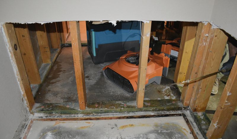 Crawl Space Water Remediation in Gilbert, AZ