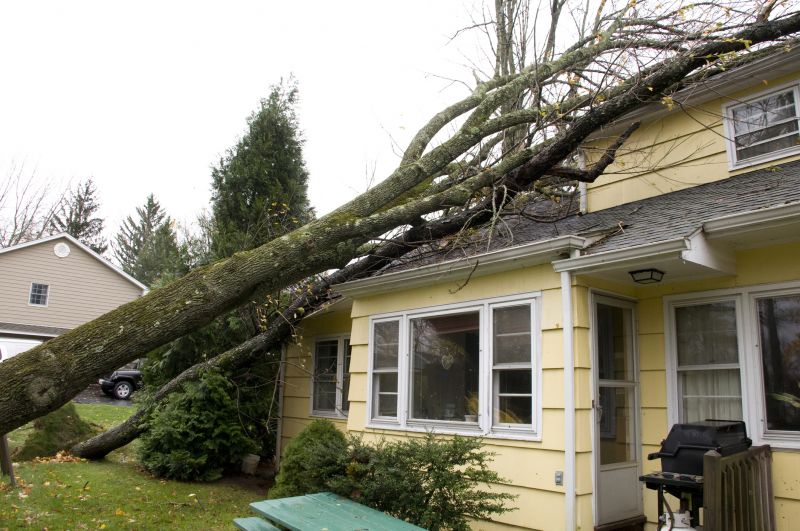 Storm Damage Cleanup in Mesa, AZ