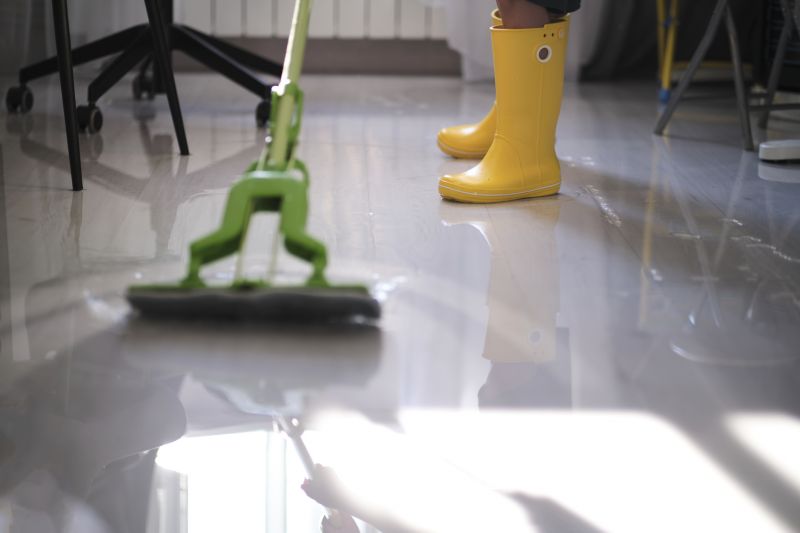 Water Removal Service in Mesa, AZ